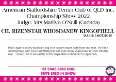 Class 9 - Ch. Rizenstar Whosdanew Kingofhell.png